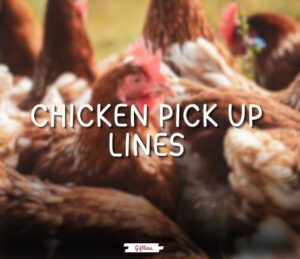 Chicken pick up lines