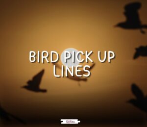 bird pick up lines