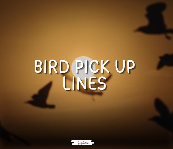 bird pick up lines