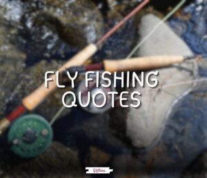fly fishing quotes