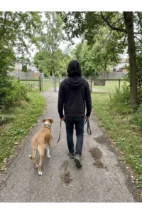 An adult walking a tan dog along a shady neighborhood trail.