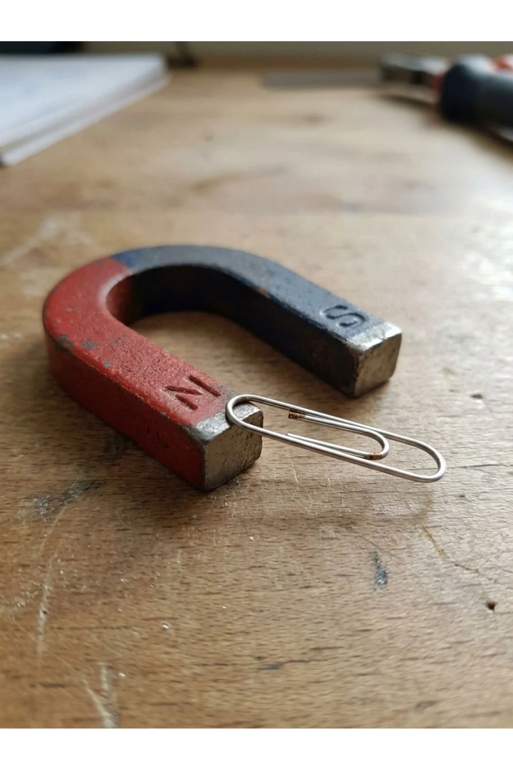A red and blue horseshoe magnet lying beside a paper clip on a worktable.